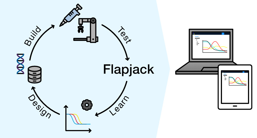Flapjack Graphical Abstract