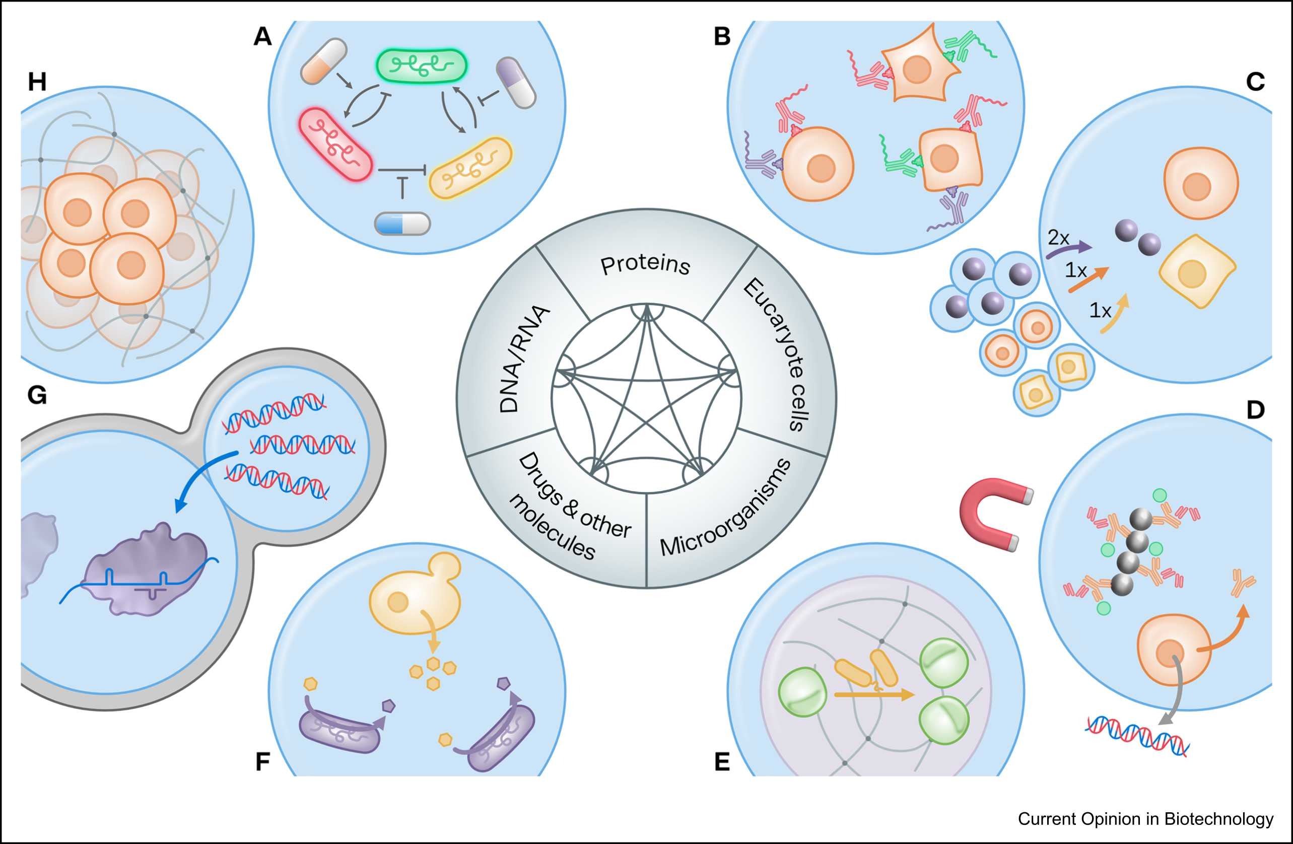 Interactions in Microfluidic Droplets Graphical Abstract