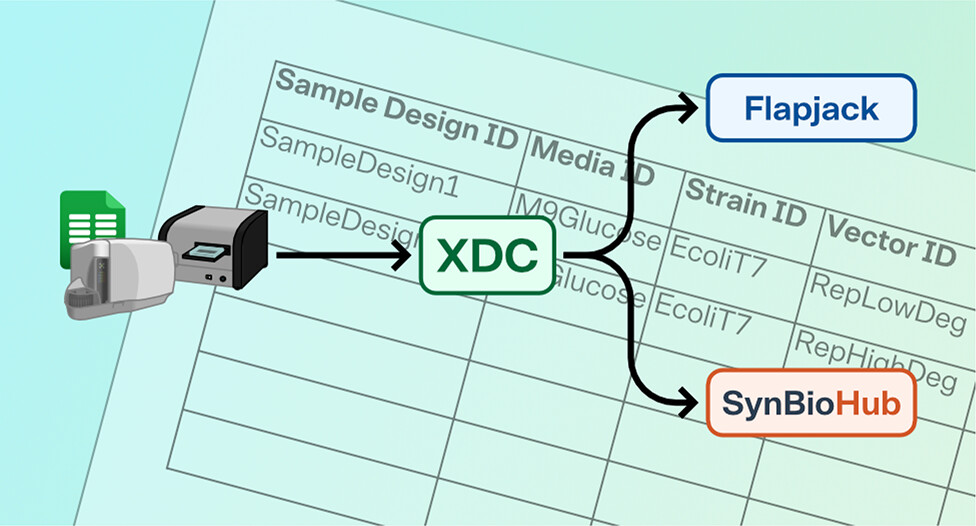 XDC Graphical Abstract